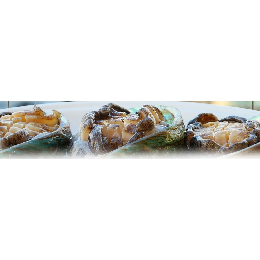 해신수산 완도활전복, 대, 12-14미, 1kg, 1개 상품 이미지 5
