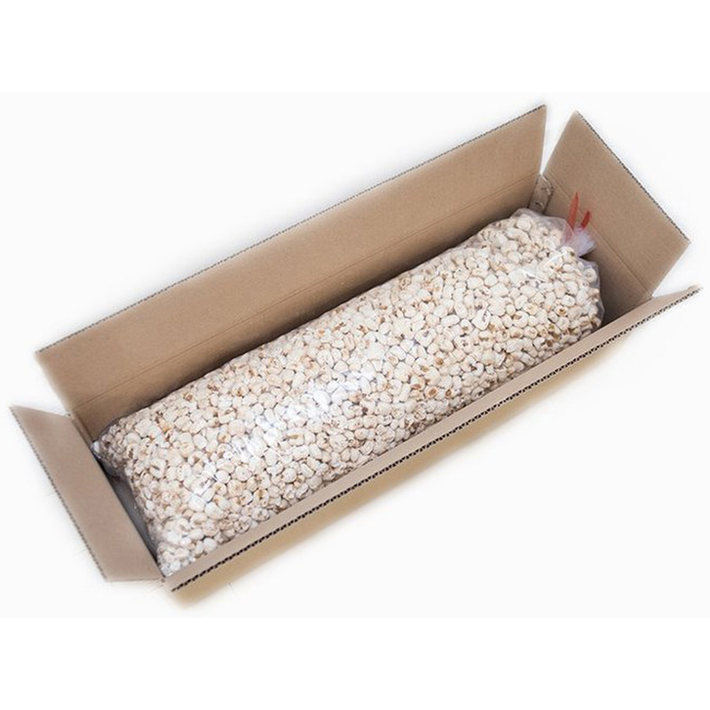 백옥콘 강냉이, 1.4kg, 1개 상품 이미지 3