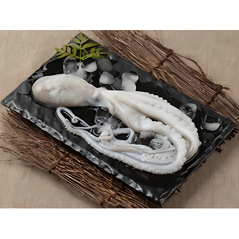 대짜 낙지, 1kg, 6마리, 1개 상품 이미지 5