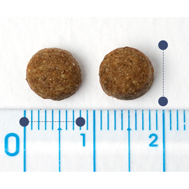 미소 강아지 기능성 사료, 장건강/유산균, 2kg, 1개 상품 이미지 14