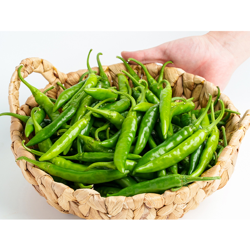 전라도청년 국내산 청양고추, 상, 1kg, 1박스 상품 이미지 5