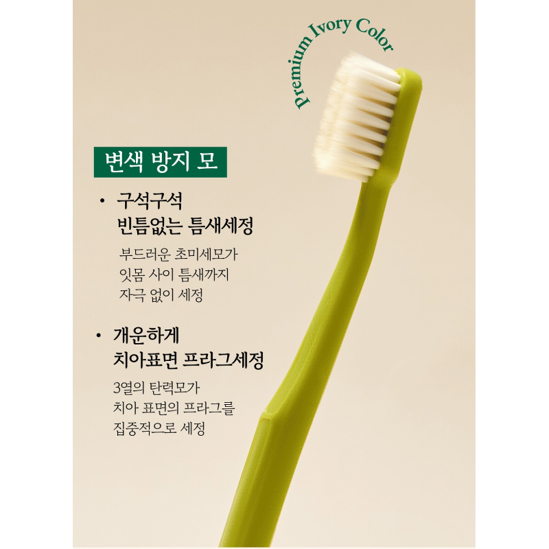 센토 프라임 바이브 딥클린 듀얼 초미세 탄력모 칫솔, 20개입, 1개 상품 이미지 8