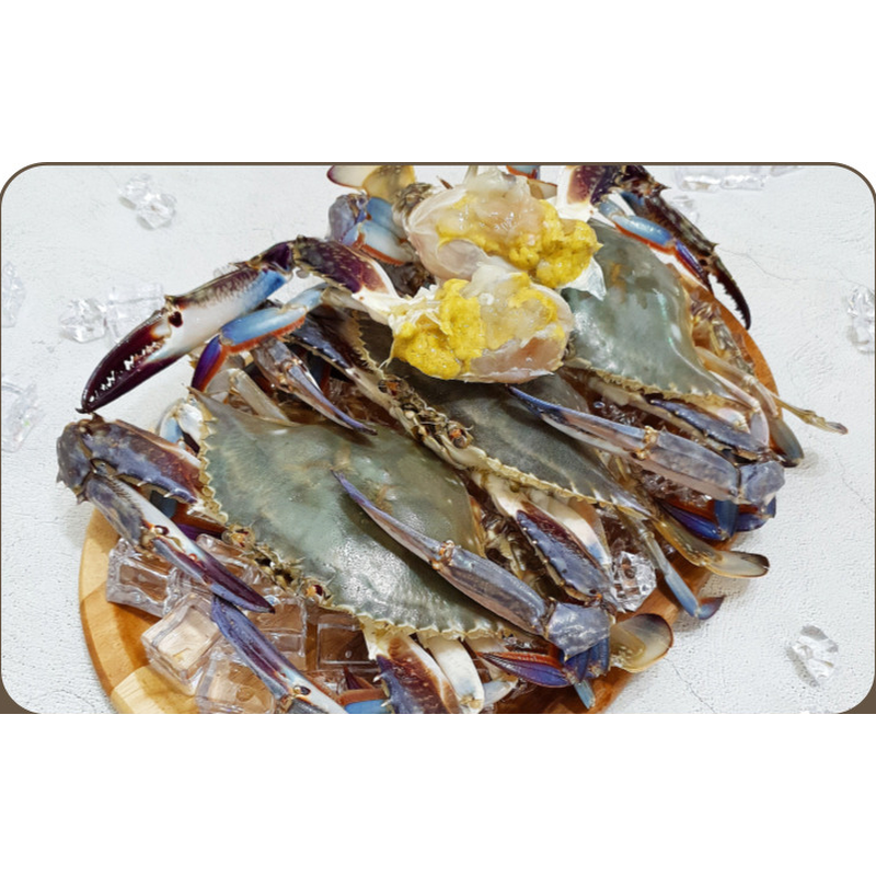 파인밀 제철 활 숫꽃게, 중짜, 1kg당 4-6미, 2kg, 1개 상품 이미지 2