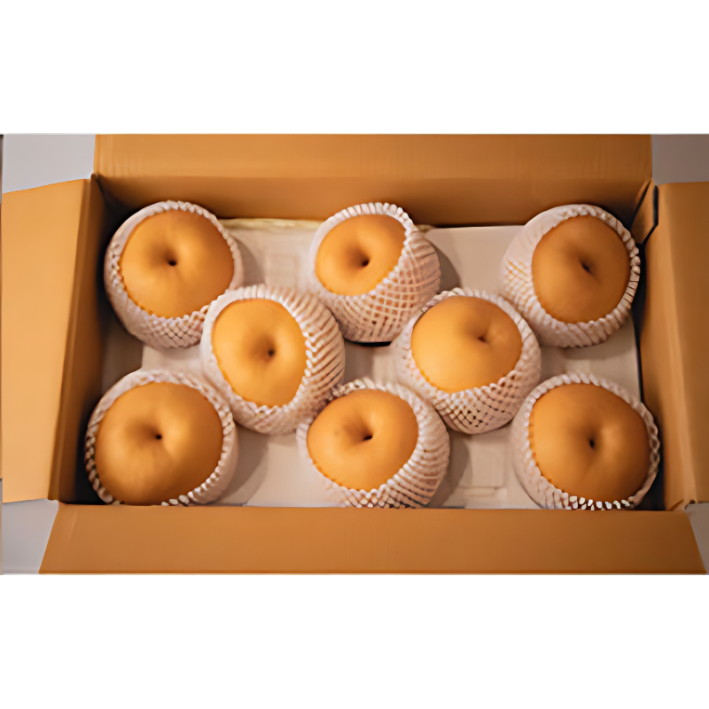 과일꾼 나주배 가정용, 3kg, 4-7과, 1박스 상품 이미지 5