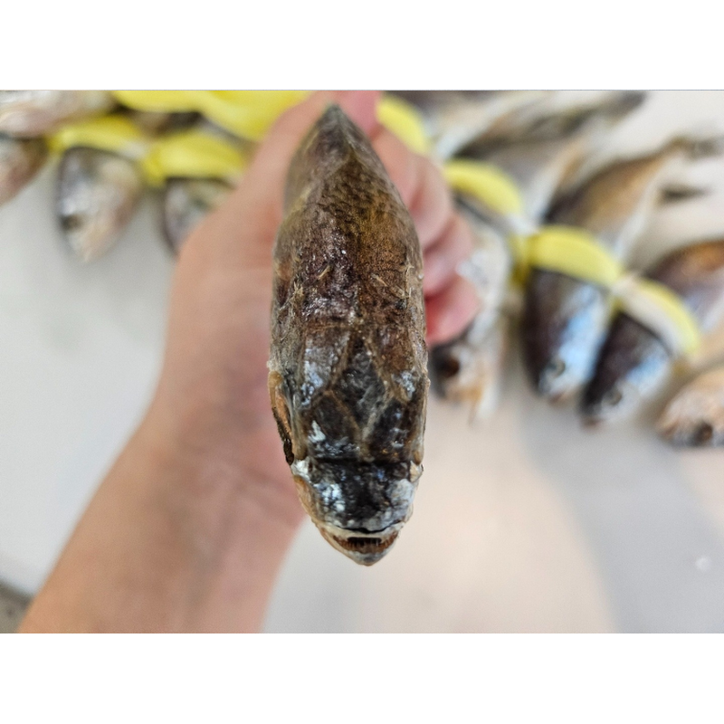 법성포 정품 영광 굴비, 18cm 내외, 1.2-1.3kg, 20마리 상품 이미지 4