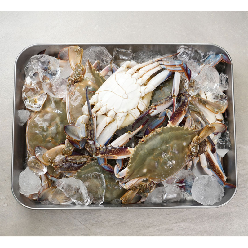 청춘농가 활숫꽃게, 1kg, 1박스 상품 이미지 1