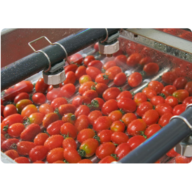 과일꾼 스테비아 레드 방울토마토, 500g, 4팩 상품 이미지 3
