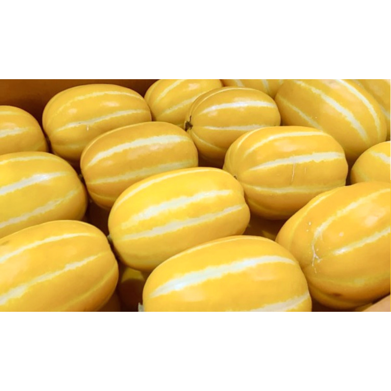 성주 꿀참외, 랜덤과, 5kg, 1박스 상품 이미지 1