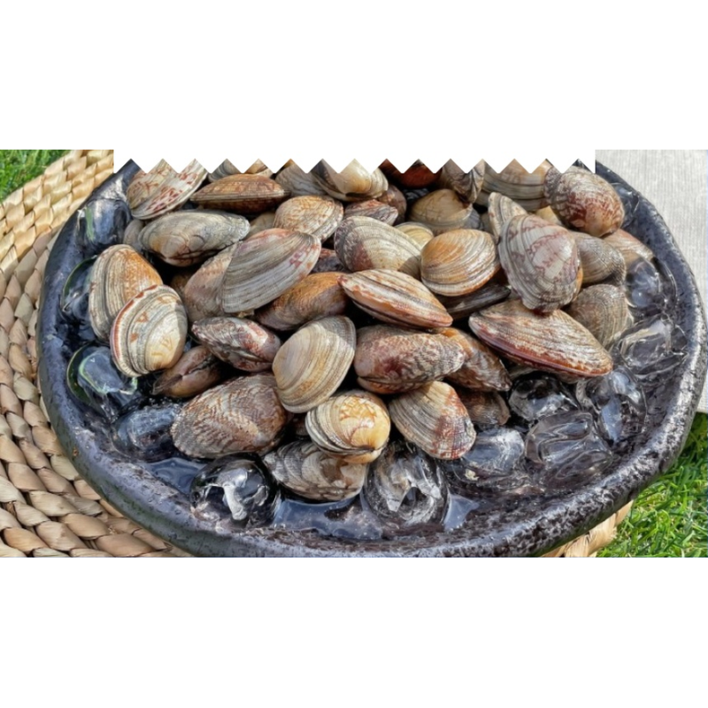 생물 왕 바지락, 1kg, 1개 상품 이미지 1