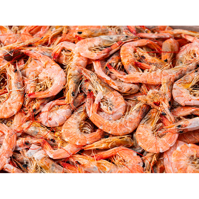 어가찬 중하 건새우 1.5kg 대용량 구성과 식자재 활용 가치 점검 4
