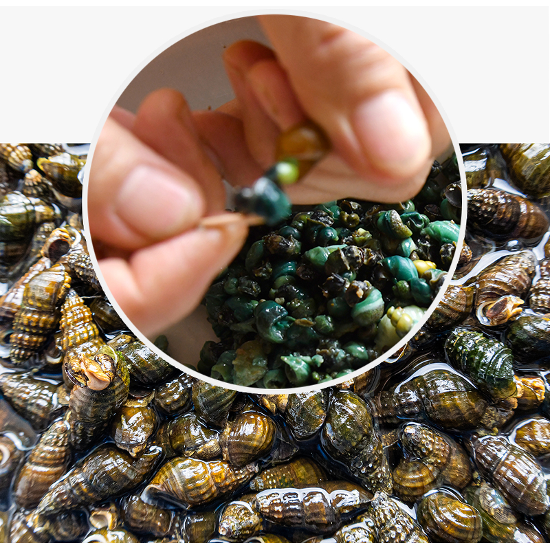 동강 자연산 손질 깐다슬기, 300g, 3팩 상품 이미지 4