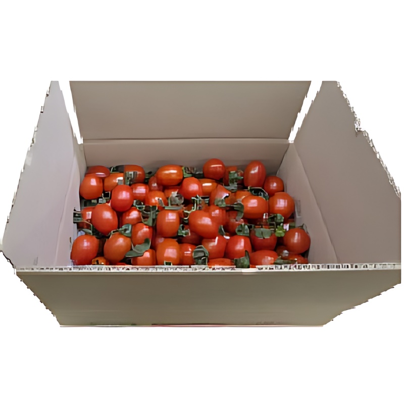 킴스클럽 대추방울토마토, 로열과, 2kg, 1개 상품 이미지 2