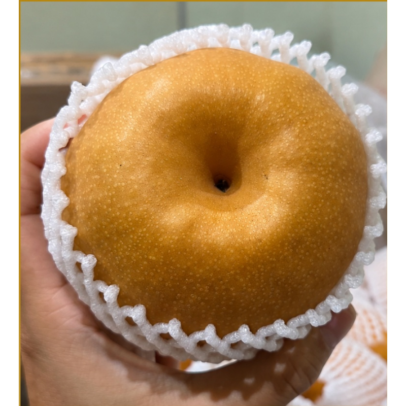 햇 나주배, 5kg, 1박스 상품 이미지 1