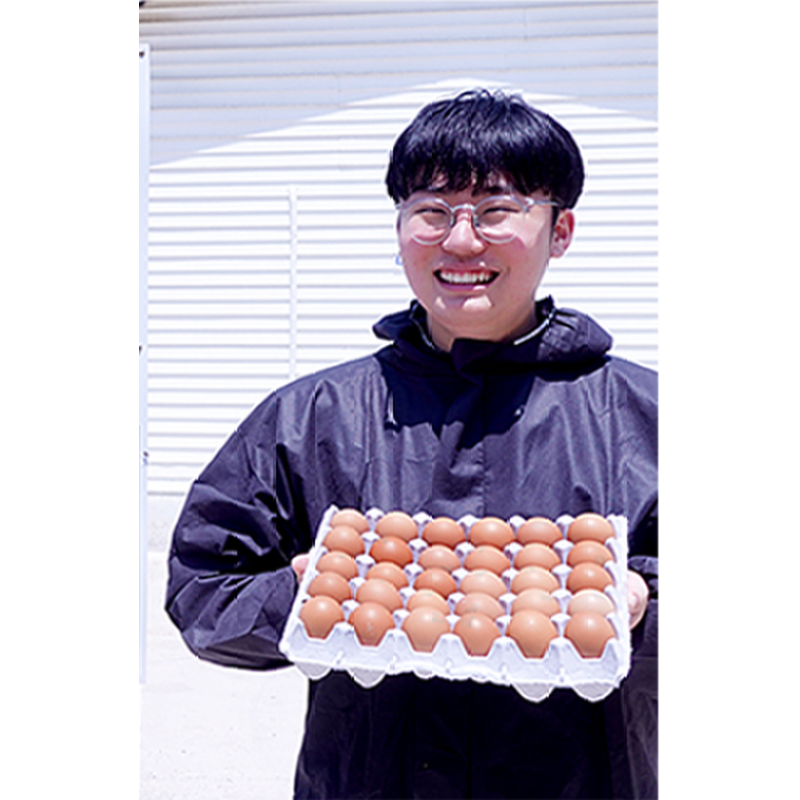 서가팜 난각번호1번 무항생제 유정란, 40구, 1박스 상품 이미지 6