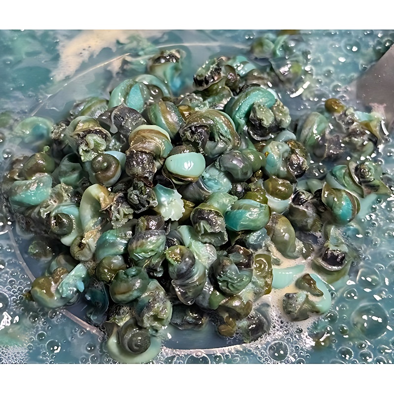 동강 자연산 손질 깐다슬기, 300g, 3팩 상품 이미지 7