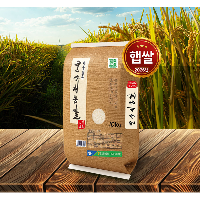 담양군농협 운수대통쌀, 상등급, 10kg, 1개 상품 이미지 2