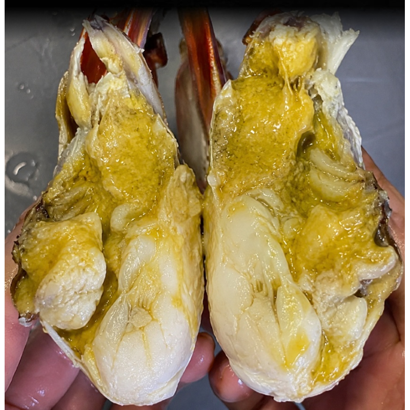 수율선별 활 숫꽃게 대짜, 3-5미 내외, 1kg, 1개 상품 이미지 2