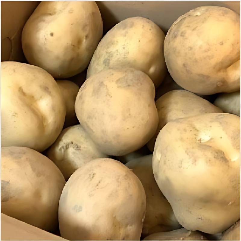 탐나유 수미 햇감자, 중, 3kg, 1개 상품 이미지 5